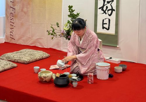 niko-website-nextgen gallery-SMALL IMAGES (500 x 350 px)-new - 14