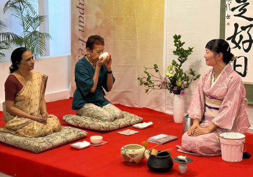 niko-website-nextgen gallery-SMALL IMAGES (500 x 350 px)-new - 15