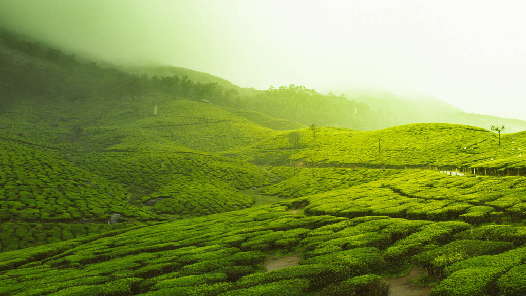 attractions-in-kerala